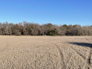 3/11 40± ACRES * RINGWOOD, OKLAHOMA